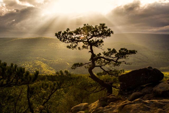 Sam’s Throne Arkansas