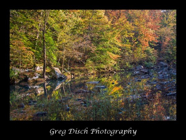 20081019081019_MG_0839