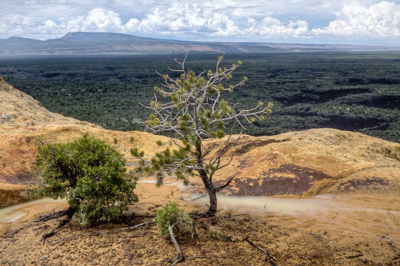 El Malpais National Monument – Sandstone Bluffs