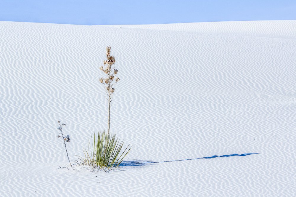 White Sands National Park – New Mexico
