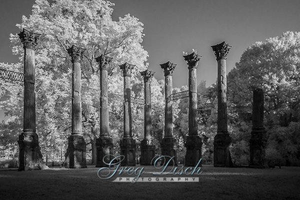 Windsor Ruins – Port Gibson Mississippi