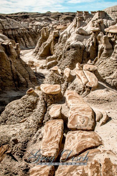 Bisti - De-Na-Zin Wilderness Area New Mexico 20150124-_MG_1470
