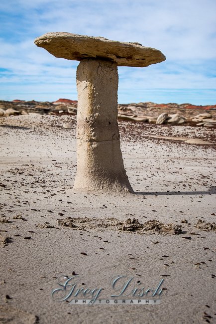 Bisti/De-Na-Zin Wilderness New Mexico – Greg Disch Photography