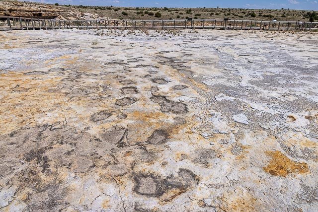 Clayton Lake Dinosaur Trackways