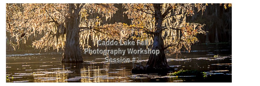 Caddo Lake Fall Photography Workshop Session #2