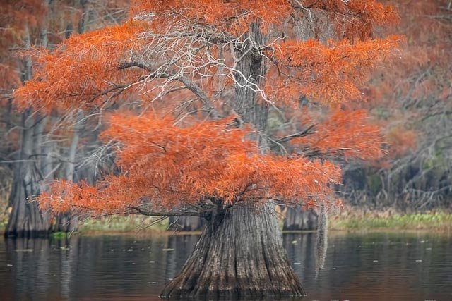 September 2025 Newsletter
